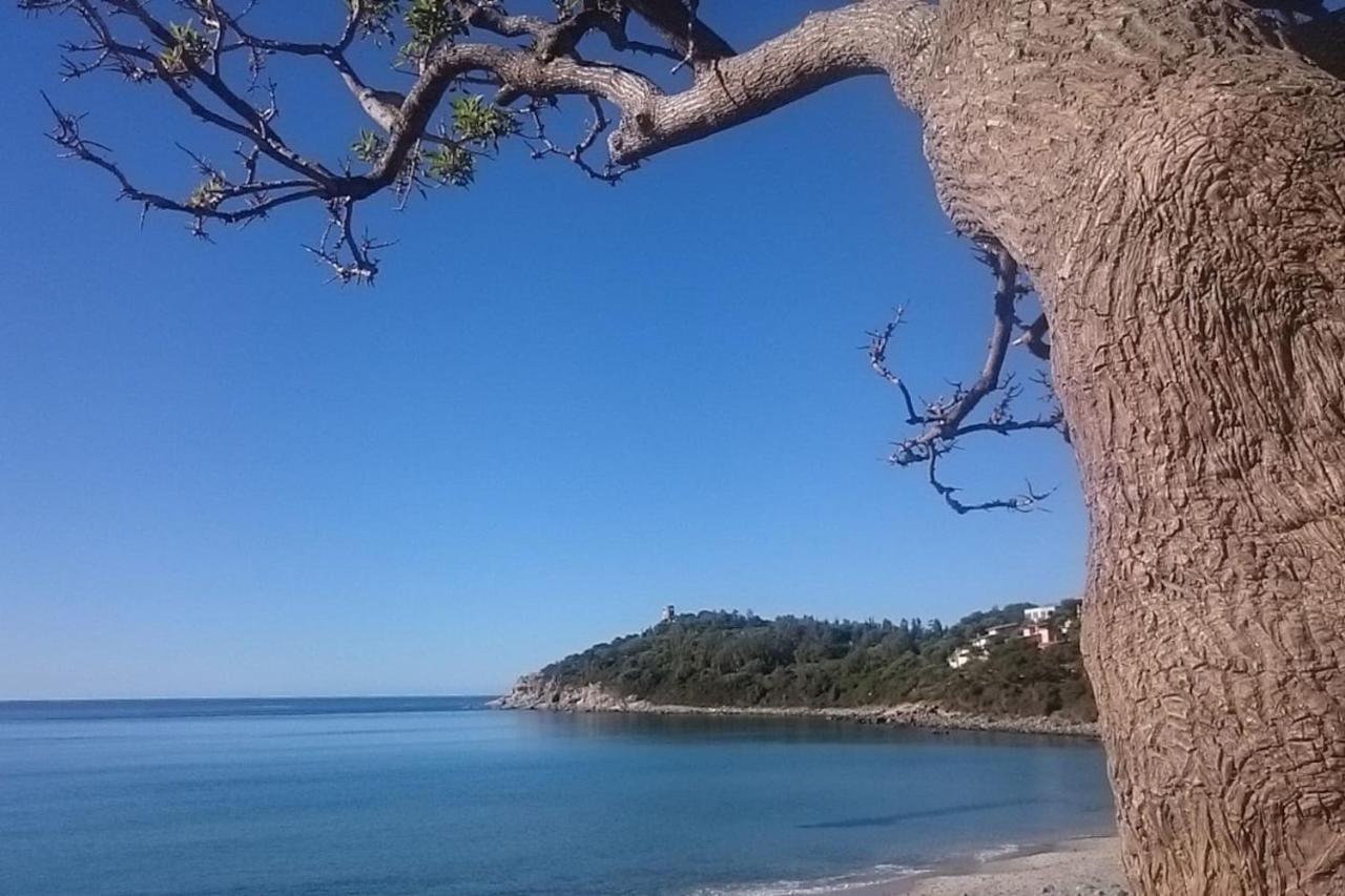 Un Po Di Relax A Pochi Passi Dal Mare! Apartment Arbatax Luaran gambar